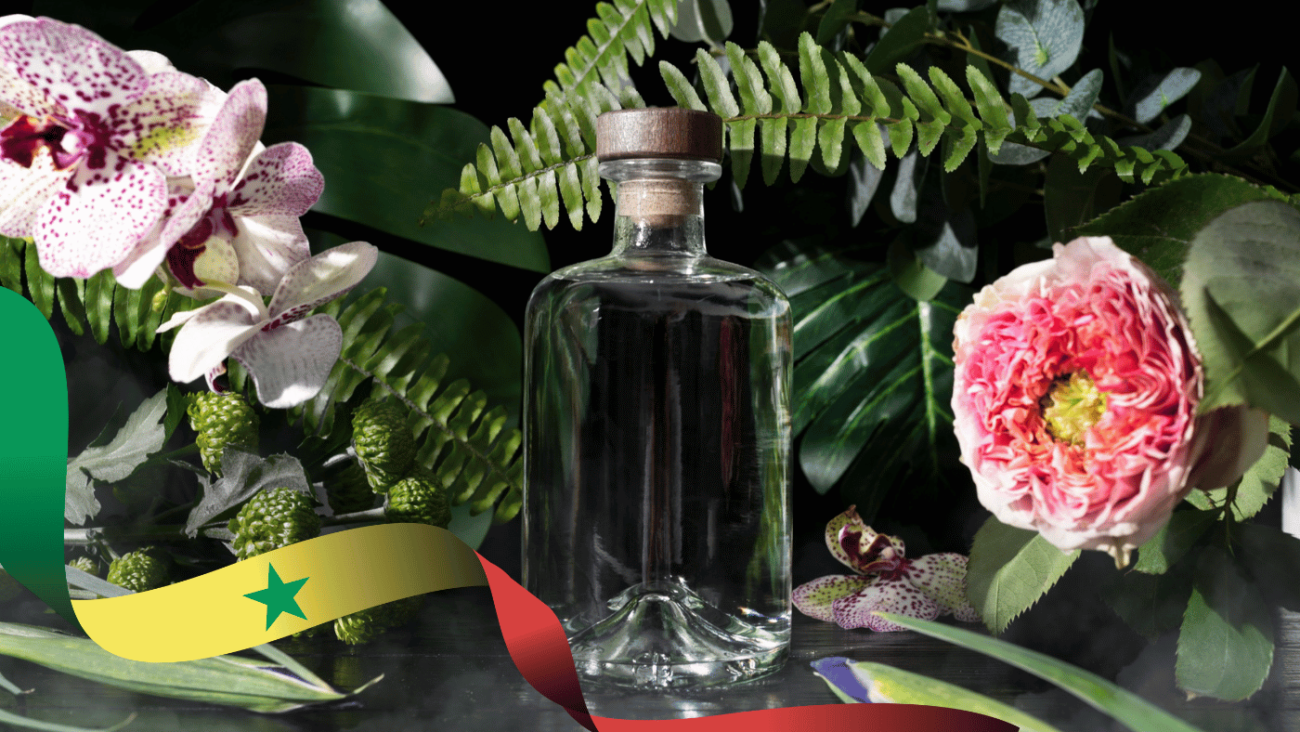 colibri scent, marketing olfactif au senegal