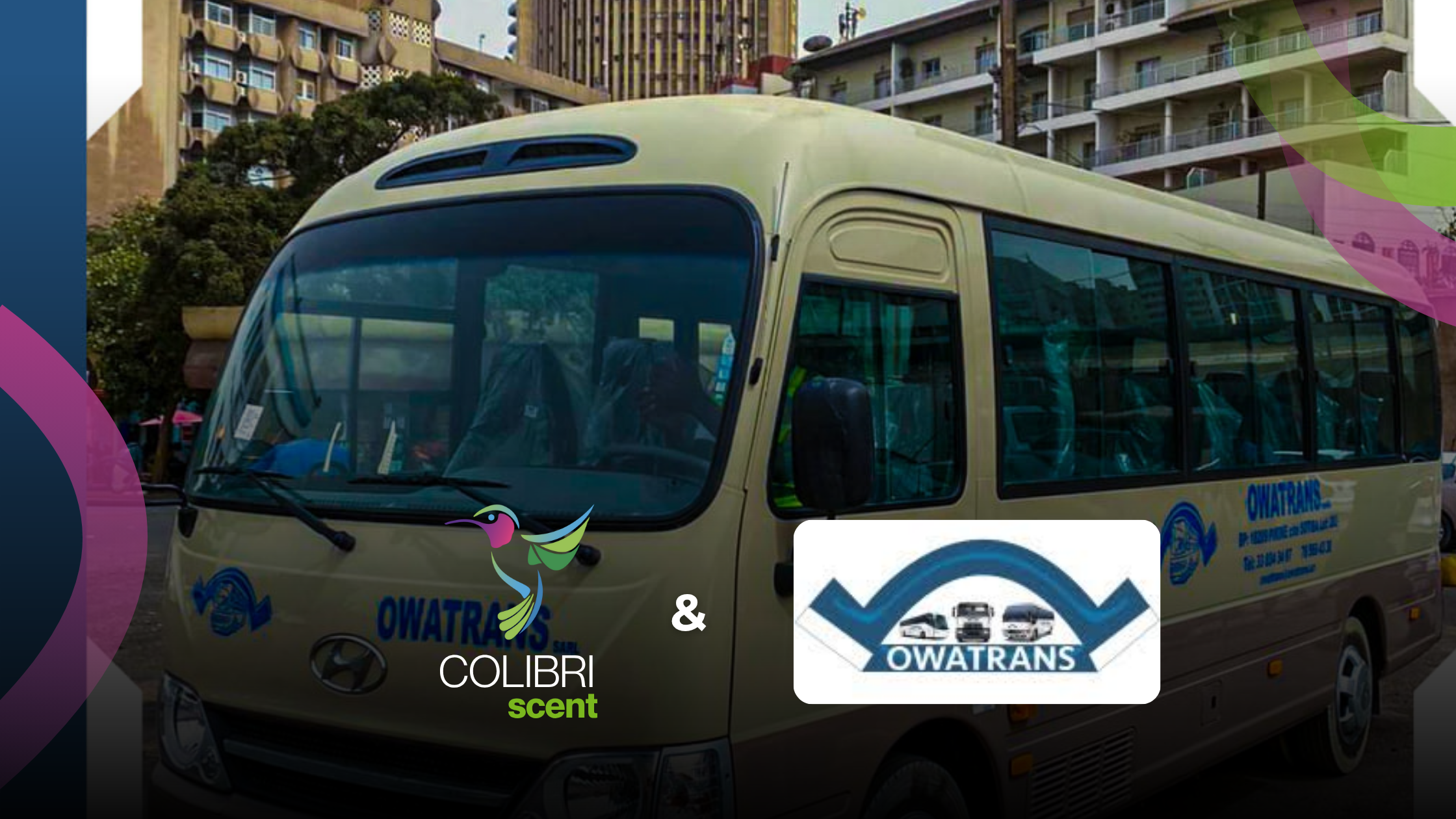 blog colibri scent owatrans senegal