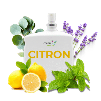Colibri scent senteur maison citron